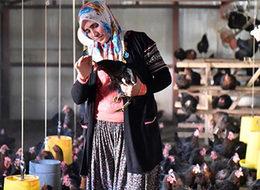 Şehirden sıkılıp köye döndü, şimdi tam 2 bin tavuğu var