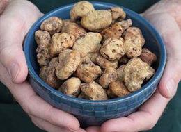 Yurtdışına çıkarmaya çalıştı, 466 bin lira ceza aldı