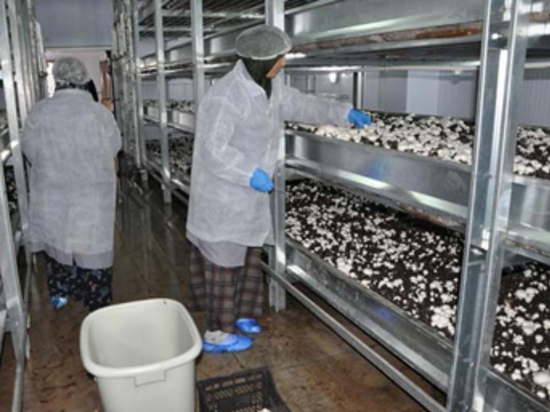 Daha &ouml;ğrenci ama tam otomasyonlu tesis kurdu