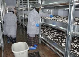 Daha öğrenci ama tam otomasyonlu tesis kurdu