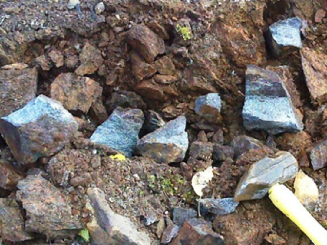 Apple ve Samsung onun peşinde! Kilosu 80 dolar