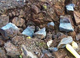 Apple ve Samsung onun peşinde! Kilosu 80 dolar