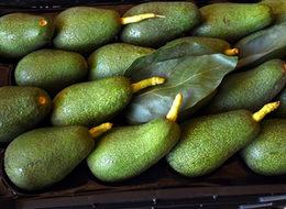 Avokadonun tanesi 8 liraya kadar yükseldi