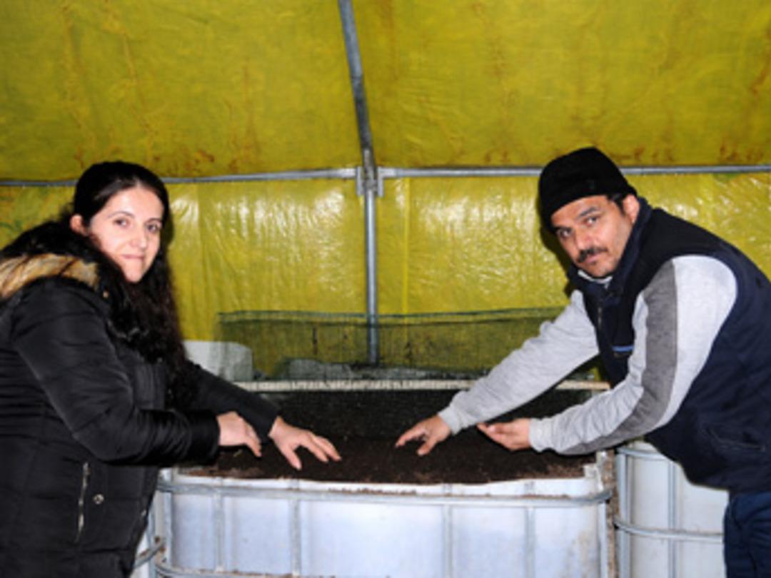 Solucan g&uuml;bresi &uuml;retiyor, siparişlere yetişemiyor