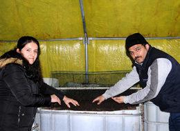 Solucan gübresi üretiyor, siparişlere yetişemiyor