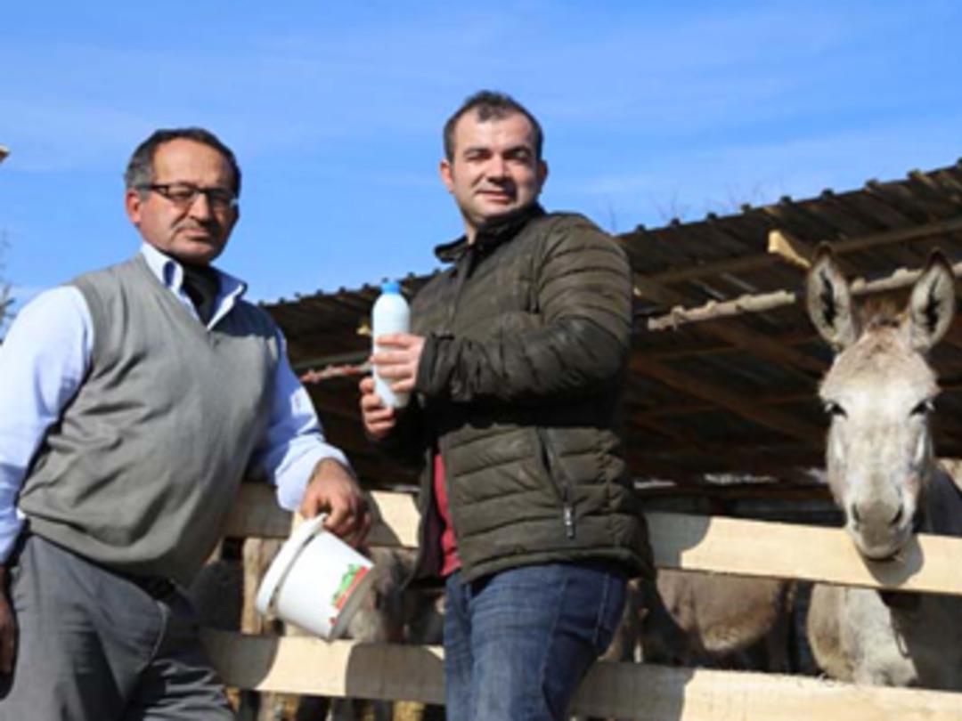 Eşek s&uuml;t&uuml; &ccedil;iftliği kurdu, litresini 100 liradan satıyor!