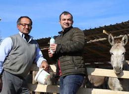 Eşek sütü çiftliği kurdu, litresini 100 liradan satıyor!