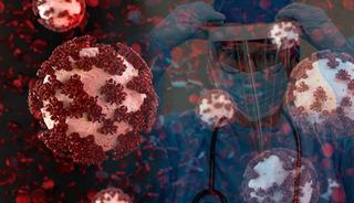 Bu vir&uuml;sler geleceğin pandemisi olabilir mi?