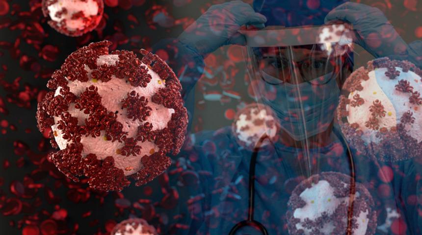 Hayvanlardan insanlara ge&ccedil;iyor: Bu vir&uuml;sler geleceğin pandemisi olabilir mi?