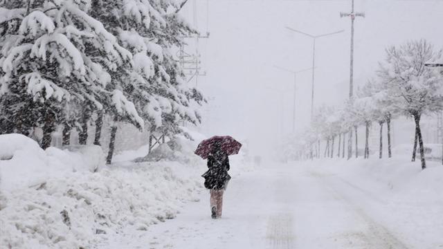 Bilim insanları karın gerçek rengini açıkladı! Beyaz sanıyorduk ama...
