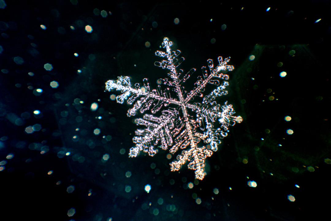 Bilim insanları karın ger&ccedil;ek rengini a&ccedil;ıkladı! Beyaz sanıyorduk ama... 2