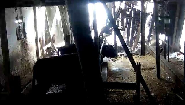 Tokat’ta ahırın çatısı çöktü 1