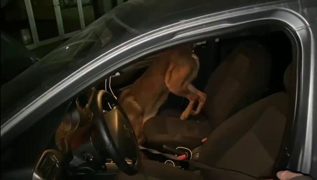 Sakarya da uyuşturucu operasyonu! 7 şüpheli gözaltında 3