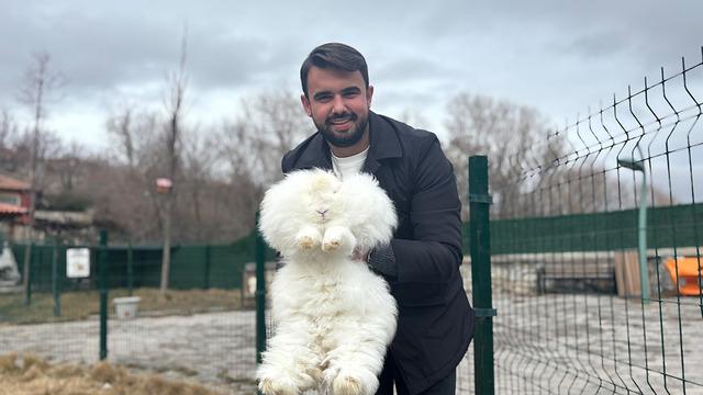 3 asır önce nesli tükenmişti: Ankara'da yetiştirmeye başladılar!
