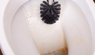 Klozetin kenarındaki kireci yağ gibi akıtıyor...