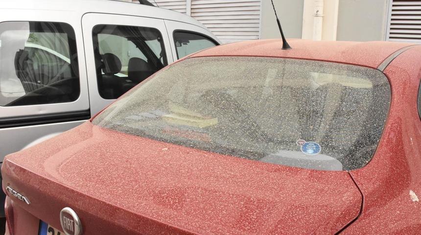 İzmir'de toz taşınımı kirliliği