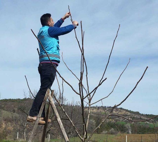 Hisarcık’ta çiftçilere uygulamalı budama eğitimi