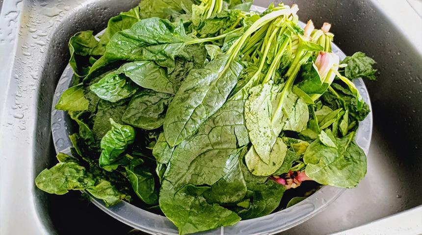 Ispanaktaki kumu tek bir malzeme ile dakikalar i&ccedil;inde temizleyin