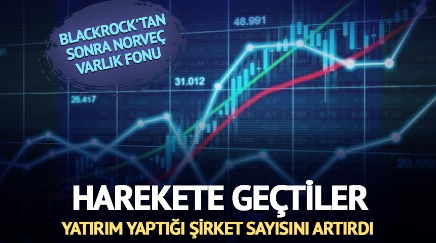 Blackrock'tan sonra şimdi de Norve&ccedil; Varlık Fonu harekete ge&ccedil;ti