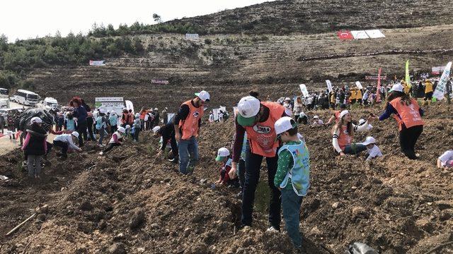 PAÜ Genç TEMA Topluluğu 500 fidanı toprakla buluşturdu