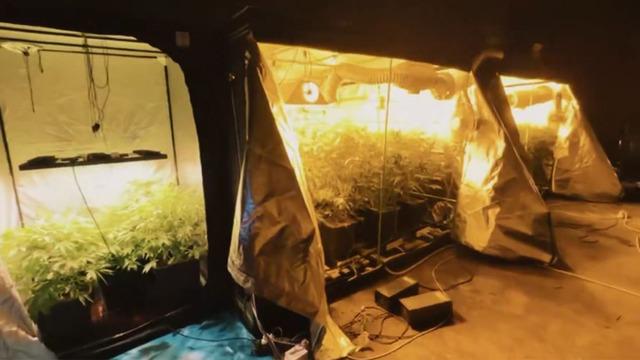 23 ilde uyuşturucu operasyonu! Ali Yerlikaya duyurdu: '6 milyon adet uyuşturucu hap ele geçirdi'