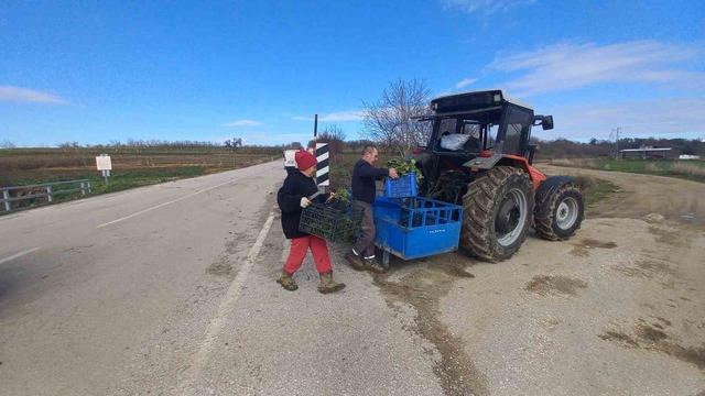 Toprakla kurulan hayat: Karı-koca d&ouml;rt mevsim tarlada &ccedil;alışıyor 4