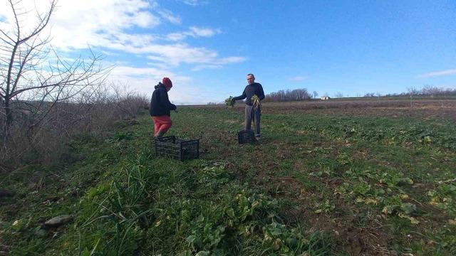 Toprakla kurulan hayat: Karı-koca d&ouml;rt mevsim tarlada &ccedil;alışıyor 3