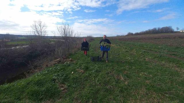 Toprakla kurulan hayat: Karı-koca d&ouml;rt mevsim tarlada &ccedil;alışıyor 1