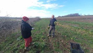 Toprakla kurulan hayat: Karı-koca d&ouml;rt mevsim tarlada &ccedil;alışıyor