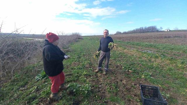 Toprakla kurulan hayat: Karı-koca dört mevsim tarlada çalışıyor