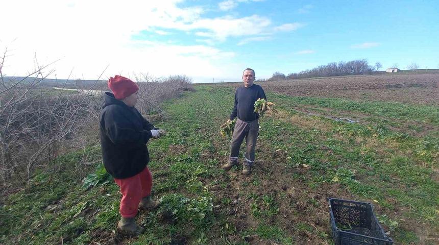Toprakla kurulan hayat: Karı-koca d&ouml;rt mevsim tarlada &ccedil;alışıyor