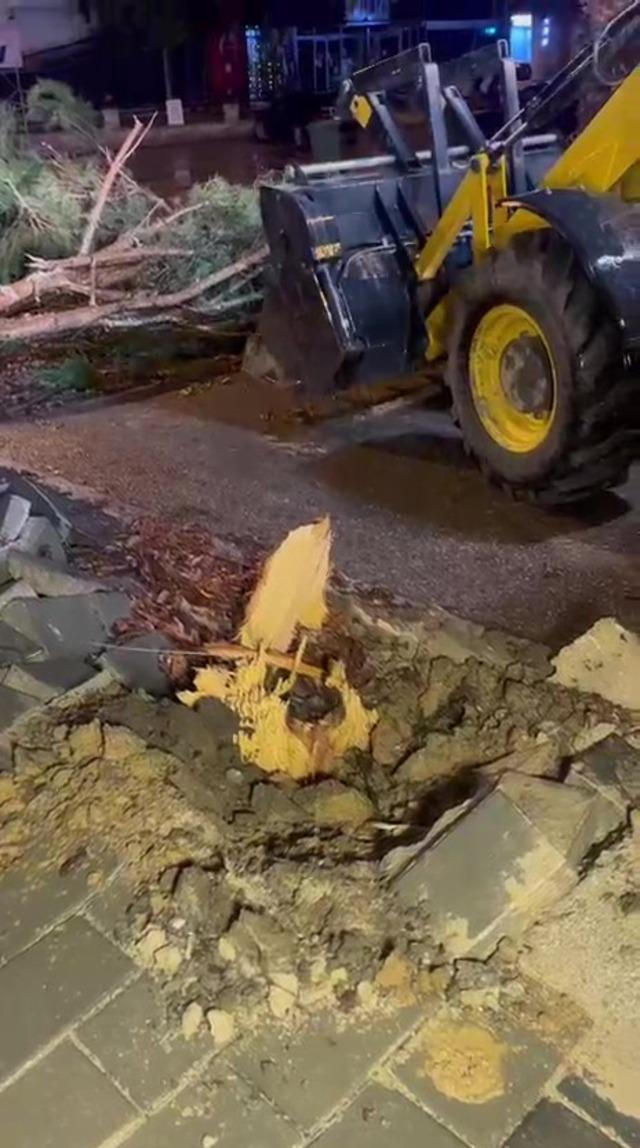 Denizli&rsquo;de fırtına ağa&ccedil;ları devirdi, &ccedil;atıları u&ccedil;urdu 3