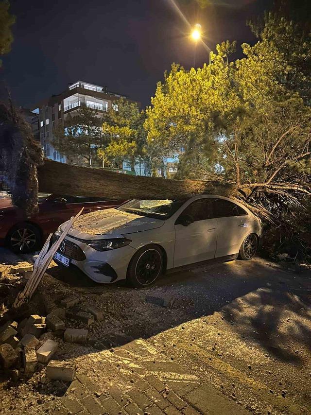 Denizli&rsquo;de fırtına ağa&ccedil;ları devirdi, &ccedil;atıları u&ccedil;urdu 2