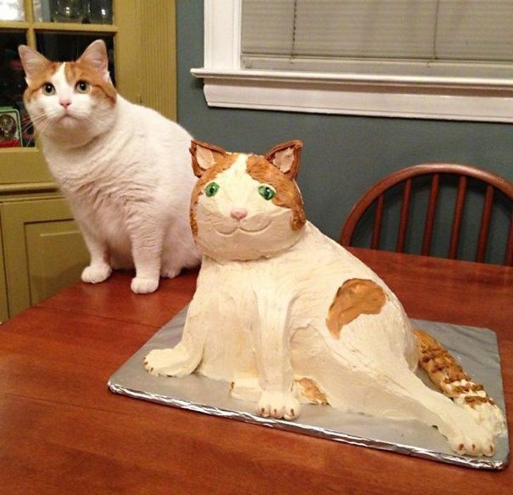 Pasta demeye bin şahit lazım! Ne umuyordu ne buldu G5