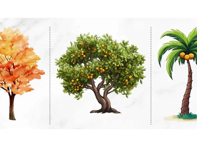 Resimde ilk se&ccedil;eceğiniz ağa&ccedil; doğal yeteneğinizi ortaya &ccedil;ıkarıyor!