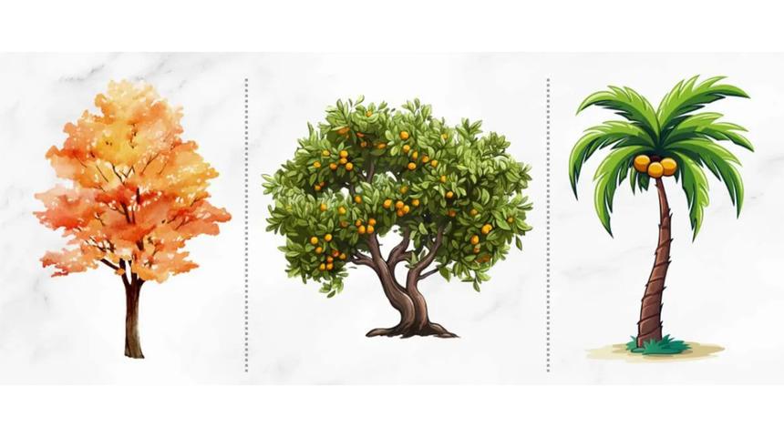 Kişilik testi: Resimde ilk se&ccedil;eceğiniz ağa&ccedil; doğal yeteneğinizi ortaya &ccedil;ıkarıyor!