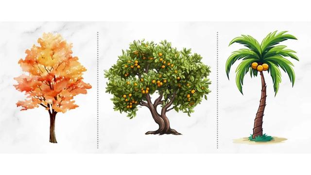 Kişilik testi: Resimde ilk seçeceğiniz ağaç doğal yeteneğinizi ortaya çıkarıyor!