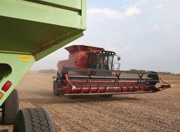 ABD-Çin ticaret savaşı tehlikesi piyasaları gerdi: Kim daha zararlı çıkar?