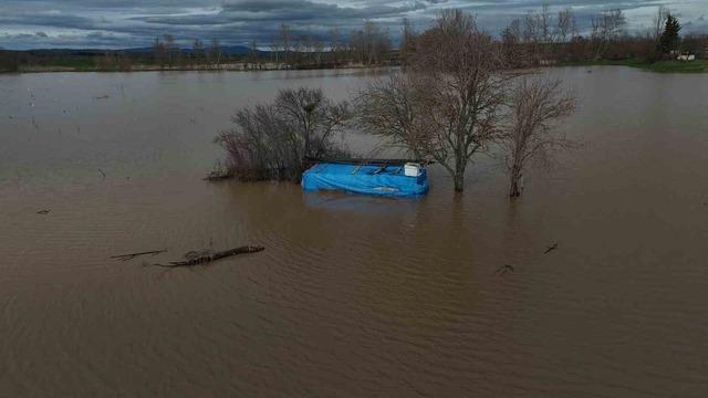 Tunca Nehri alarm veriyor: Tarım arazileri sular atında kaldı 4