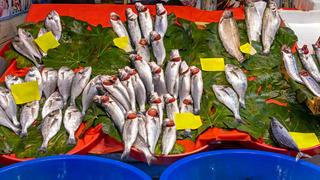 Balıkçılar böyle seçiyormuş! Tezgahta taze balık seçmenin püf noktası