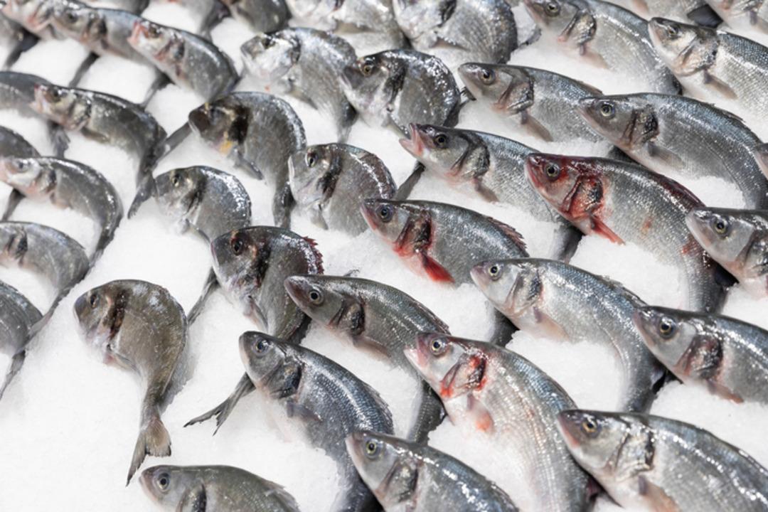 Balık&ccedil;ılar b&ouml;yle se&ccedil;iyormuş! Tezgahta taze balık se&ccedil;menin p&uuml;f noktası 1