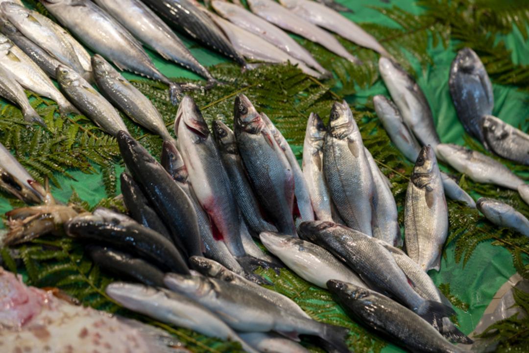 Balık&ccedil;ılar b&ouml;yle se&ccedil;iyormuş! Tezgahta taze balık se&ccedil;menin p&uuml;f noktası 3