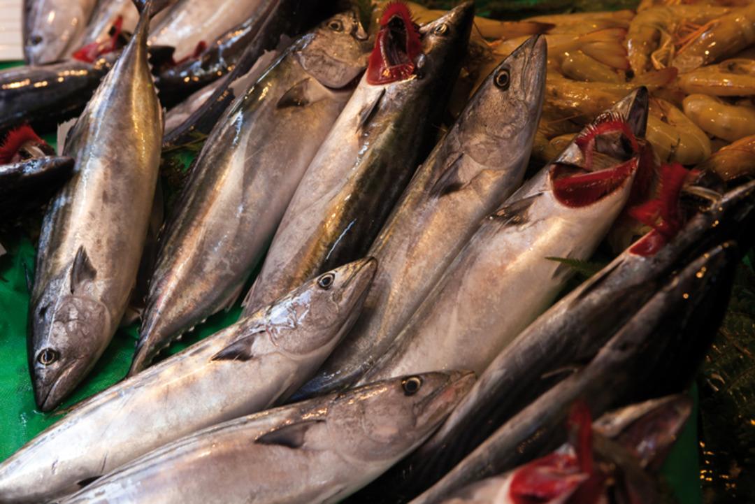 Balık&ccedil;ılar b&ouml;yle se&ccedil;iyormuş! Tezgahta taze balık se&ccedil;menin p&uuml;f noktası 5