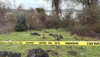 Yer: Sakarya! Cansız bedeni bulundu