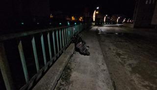 Kastamonu&rsquo;da iki motosiklet &ccedil;arpıştı! Yaralılar var