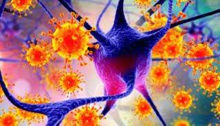 DS&Ouml;'den merak edilen Nipah vir&uuml;s&uuml; sorusuna yanıt 