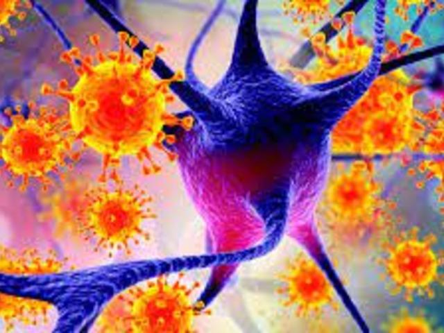 DS&Ouml;'den merak edilen Nipah vir&uuml;s&uuml; sorusuna yanıt 