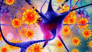 DSÖ'den merak edilen Nipah virüsü sorusuna yanıt: Öldürme oranı yüzde 40 ile 75 arasında