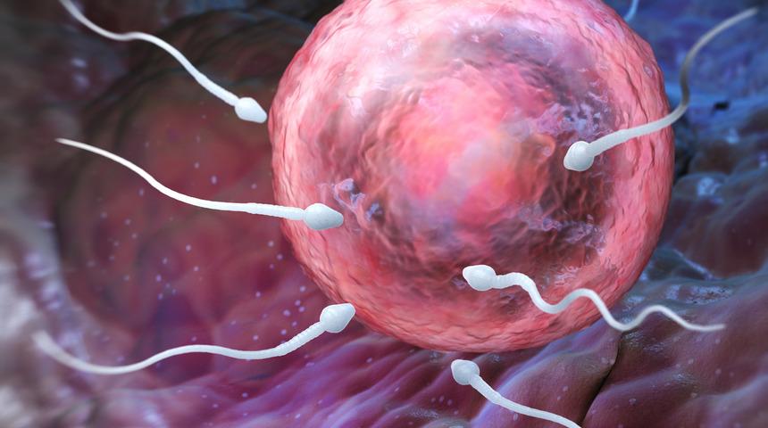 Sperm alerjisi hakkında bilmeniz gerekenler