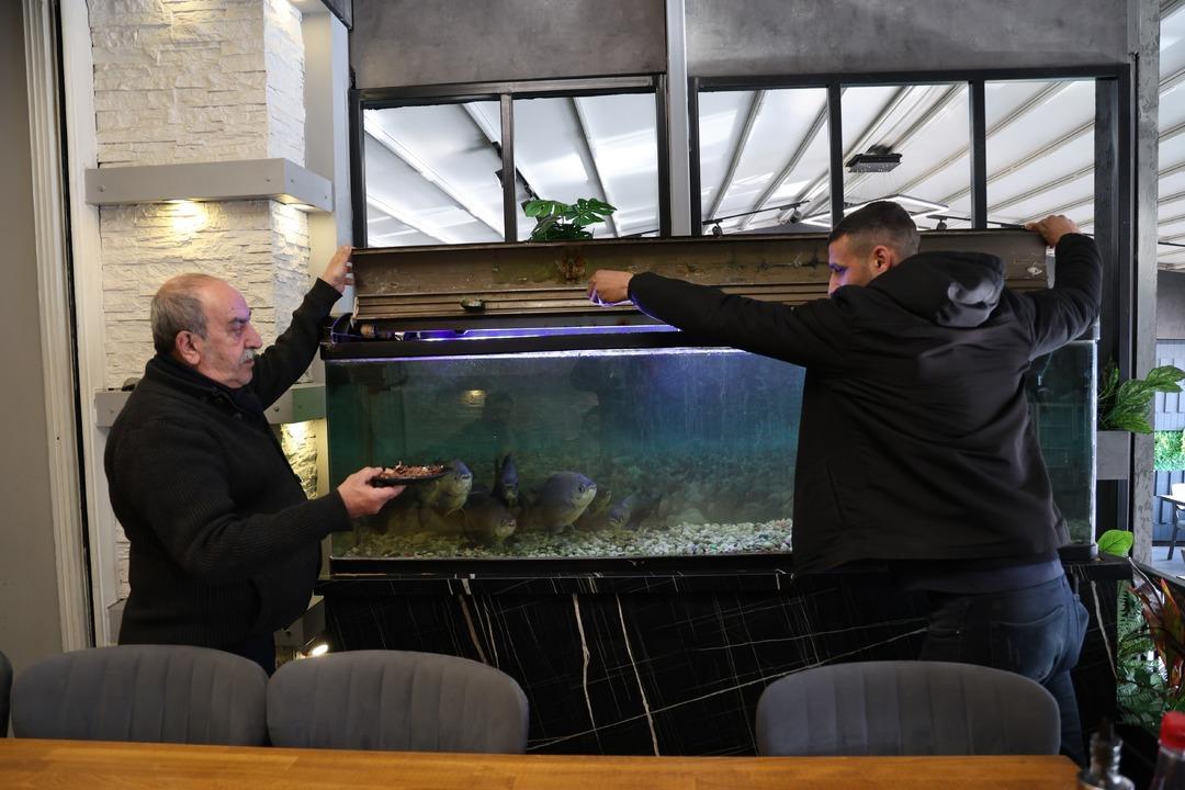 Pirana balıklarını 12 yıldır sadece kelle pa&ccedil;ayla besliyor! 7